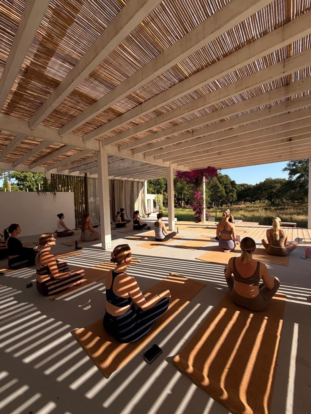 Yoga under the pergola
